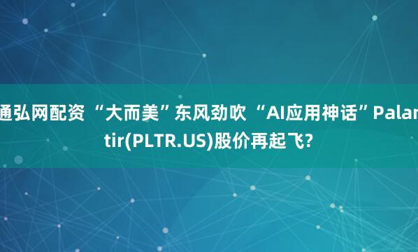 通弘网配资 “大而美”东风劲吹 “AI应用神话”Palantir(PLTR.US)股价再起飞?