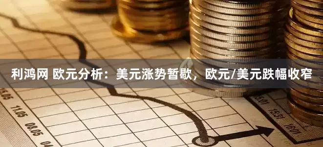 利鸿网 欧元分析：美元涨势暂歇，欧元/美元跌幅收窄
