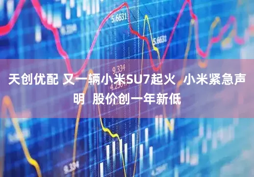 天创优配 又一辆小米SU7起火  小米紧急声明  股价创一年新低